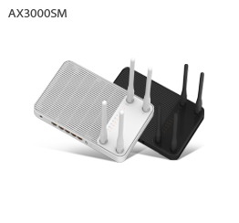 AX3000SM