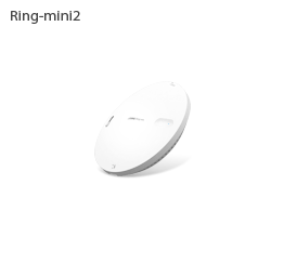 Ring-mini2